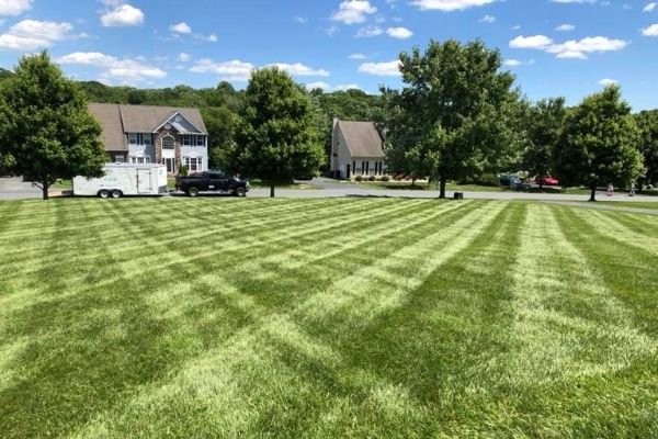 cecil county fence installer