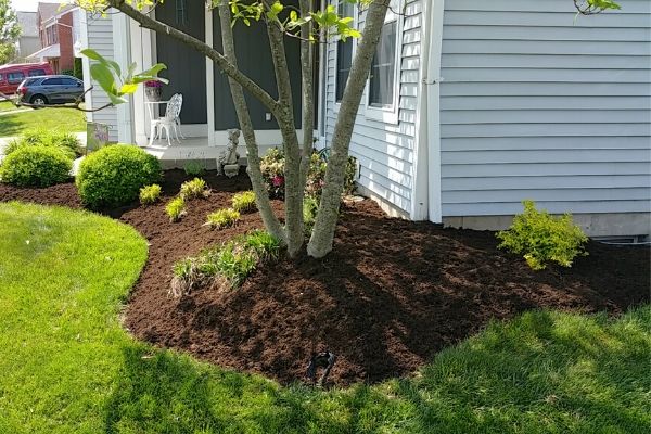 cecil county fence installer