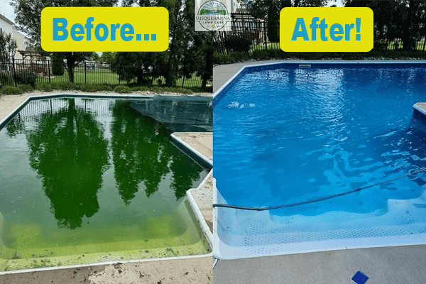 harford county maryland pool maintenance service
