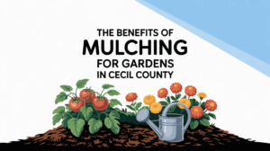 The Benefits of Mulching for Gardens in Cecil County