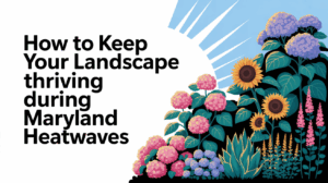 How to Keep Your Landscape Thriving During Maryland Heatwaves