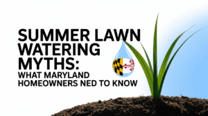 Summer Lawn Watering Myths: What Maryland Homeowners Need to Know