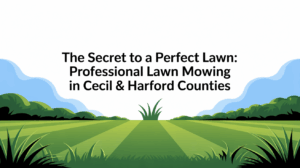The Secret to a Perfect Lawn: Professional Lawn Mowing in Cecil & Harford Counties