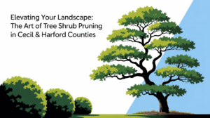 Elevating Your Landscape: The Art of Tree & Shrub Pruning in Cecil & Harford Counties