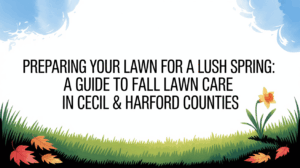 Preparing Your Lawn for a Lush Spring: A Guide to Fall Lawn Care in Cecil & Harford Counties