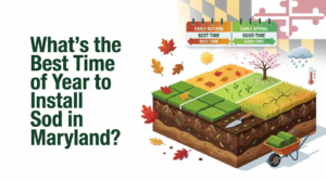 What's the Best Time of Year to Install Sod in Maryland