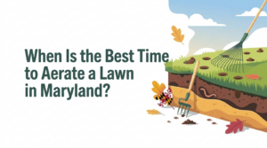 When Is the Best Time to Aerate a Lawn in Maryland